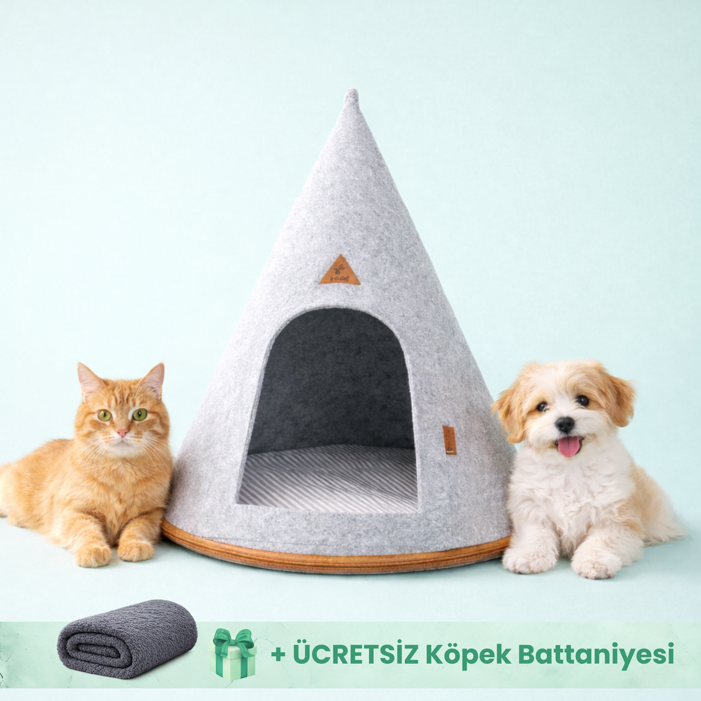 Minderli Kedi Köpek Yuvası