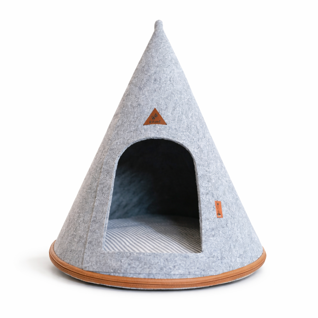 Minderli Kedi Köpek Yuvası