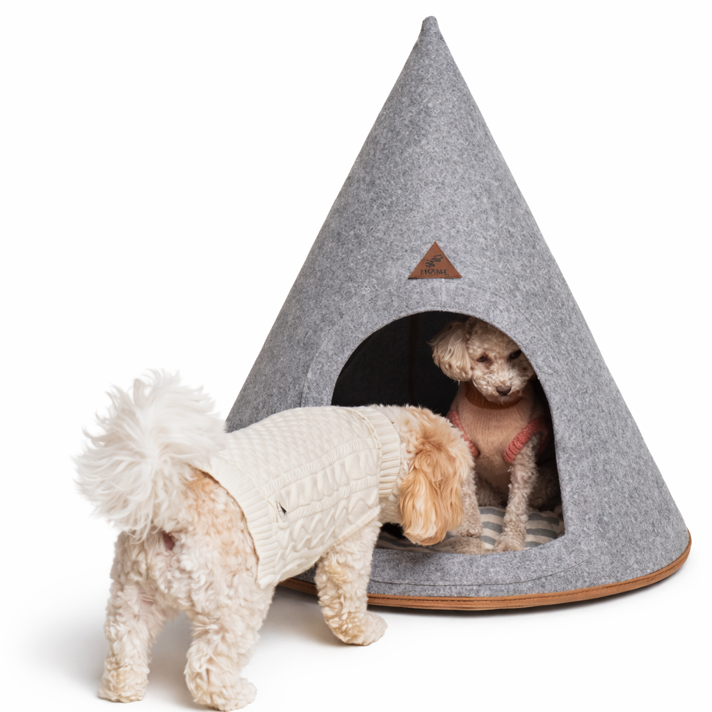 Minderli Kedi Köpek Yuvası